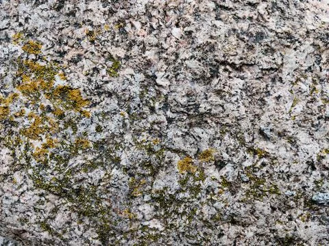 Rough stone surface from close with  moss texture Stock Photos