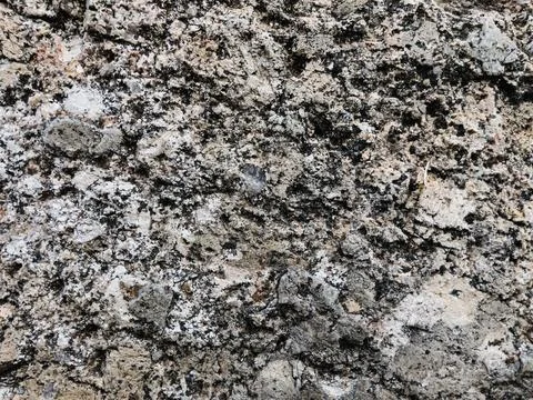 Rough stone surface from close with  moss texture Stock Photos