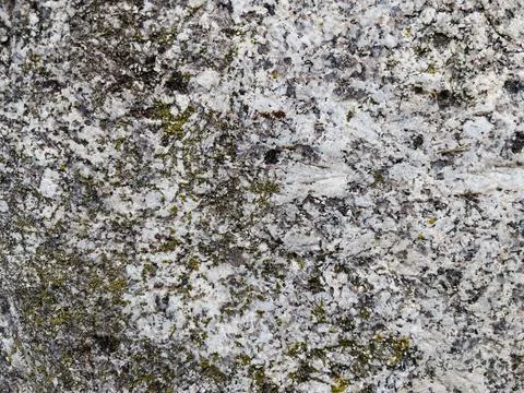 Rough stone surface from close with  moss texture Stock Photos