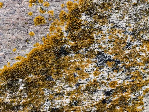 Rough stone surface from close with  moss texture Stockfoto's