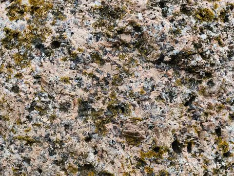 Rough stone surface from close with  moss texture Stock Photos