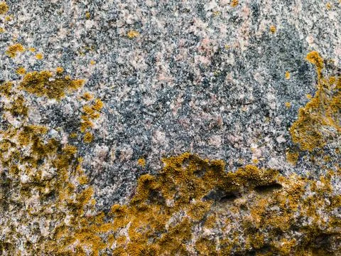 Rough stone surface from close with  moss texture Stock Photos