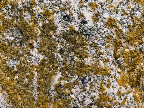 Rough stone surface from close with  moss texture Stockfoto's