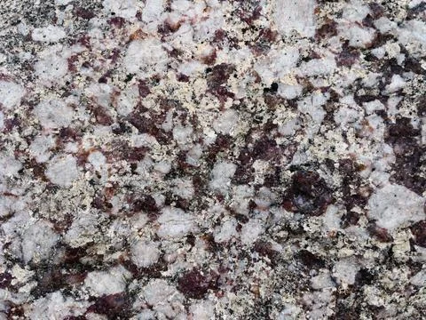 Rough stone surface from close with  moss texture Stock Photos