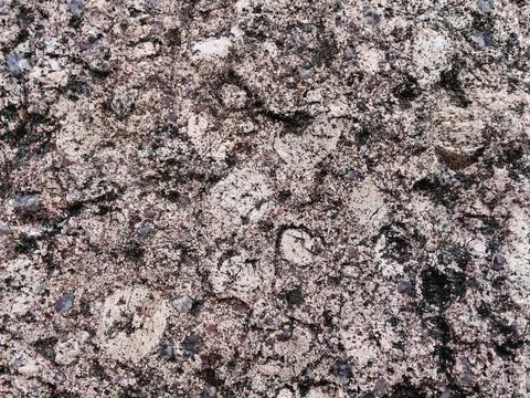 Rough stone surface from close with  moss texture Stock Photos