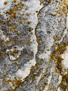 Rough stone surface from close with  moss texture Stock Photos