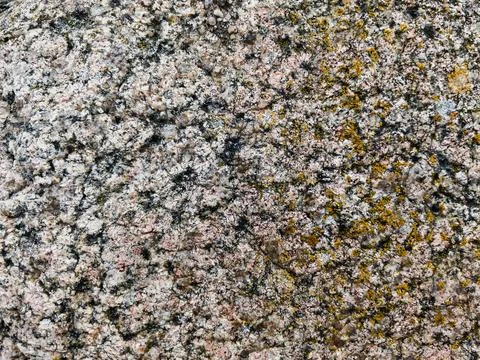 Rough stone surface from close with  moss texture Stock Photos