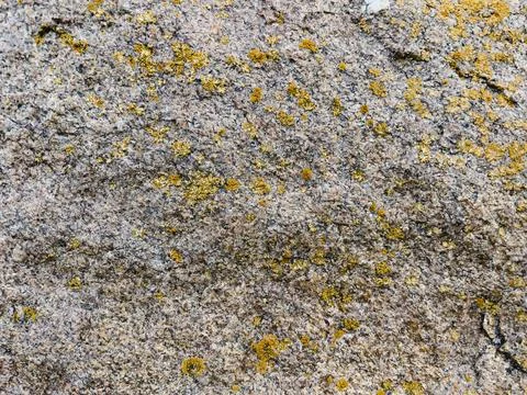 Rough stone surface from close with  moss texture Stock Photos