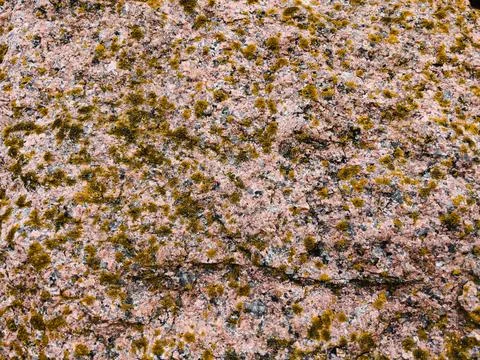 Rough stone surface from close with  moss texture Stock Photos