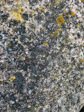 Rough stone surface from close with  moss texture Stockfoto's