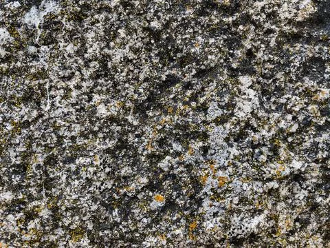 Rough stone surface from close with  moss texture Stockfoto's