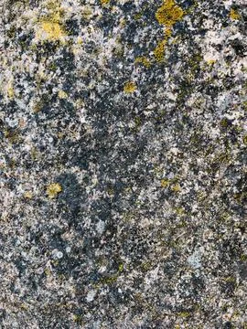 Rough stone surface from close with  moss texture Stock Photos