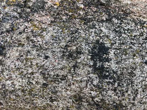 Rough stone surface from close with  moss texture Stock Photos