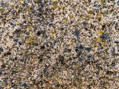 Rough stone surface from close with  moss texture Stock Photos
