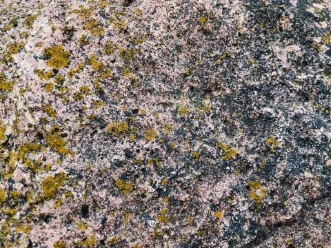 Rough stone surface from close with  moss texture Stock Photos