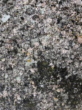 Rough stone surface from close with  moss texture Stock Photos