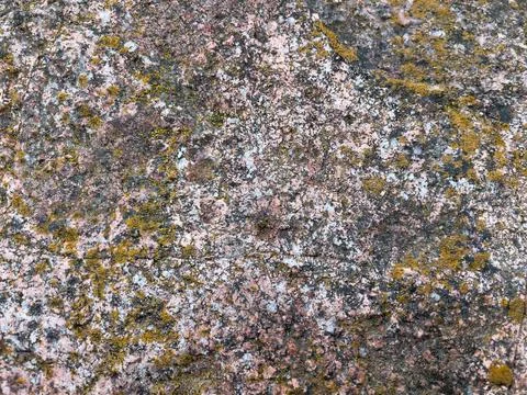 Rough stone surface from close with  moss texture Stock Photos