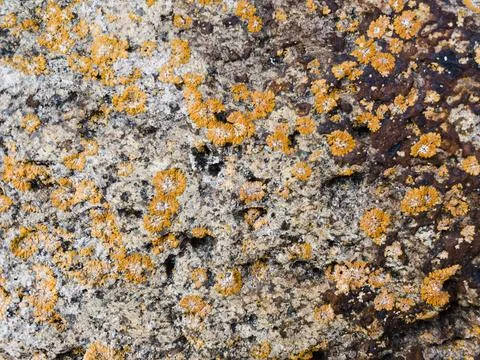 Rough stone surface from close with  moss texture Stockfoto's