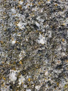 Rough stone surface from close with  moss texture Stock Photos