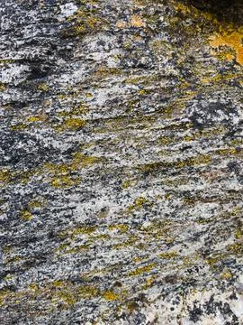 Rough stone surface from close with  moss texture Stock Photos