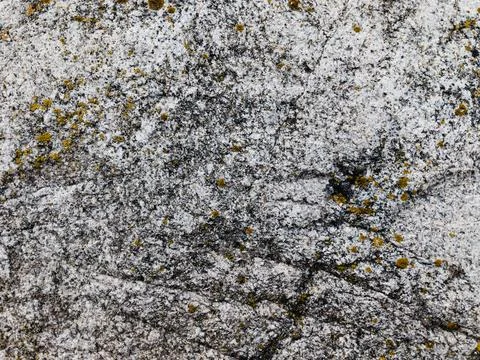 Rough stone surface from close with  moss texture Stock Photos