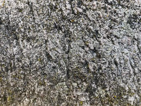 Rough stone surface from close with  moss texture Stock Photos
