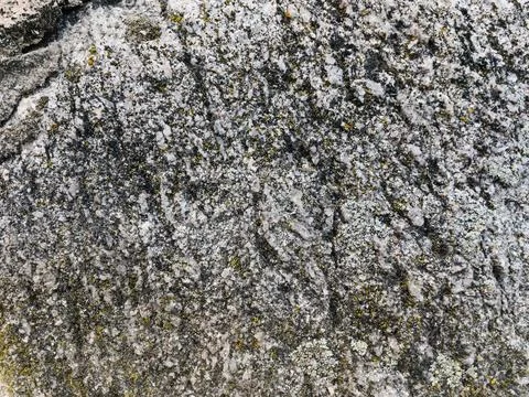 Rough stone surface from close with  moss texture Stock Photos