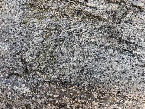 Rough stone surface from close with  moss texture Stock Photos