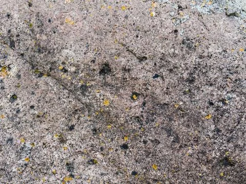 Rough stone surface from close with  moss texture Stock Photos