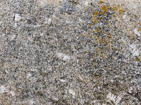 Rough stone surface from close with  moss texture Stock Photos