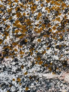 Rough stone surface from close with  moss texture Stockfoto's