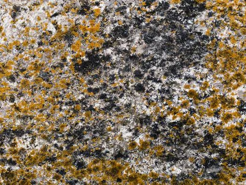 Rough stone surface from close with  moss texture Stock Photos
