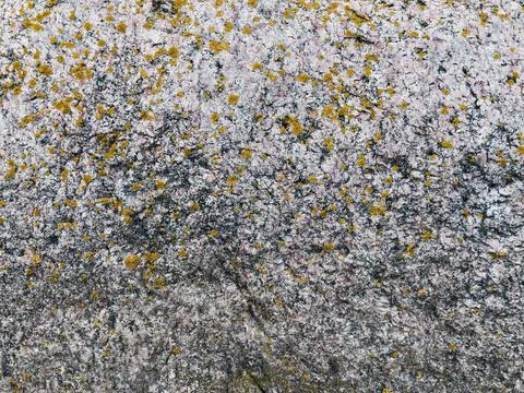 Rough stone surface from close with  moss texture Stock Photos