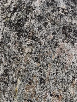 Rough stone surface from close with  moss texture Stock Photos