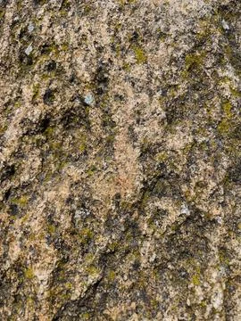 Rough stone surface from close with  moss texture Stock Photos