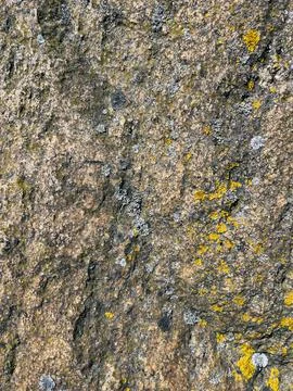Rough stone surface from close with  moss texture Stock Photos