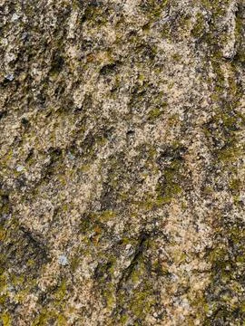Rough stone surface from close with  moss texture Stock Photos