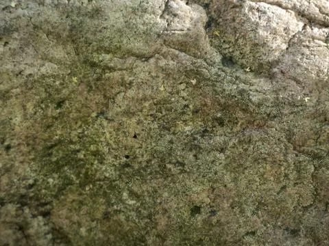 Rough stone surface covered in moss and lichen Stock Photos
