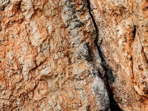 Rough stone texture. Stock Photos