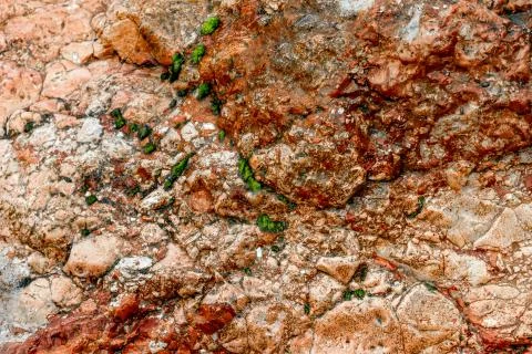 Rough stone texture. Stock Photos