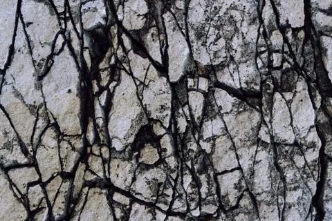 Rough stone texture. Rock surface. Stock Photos