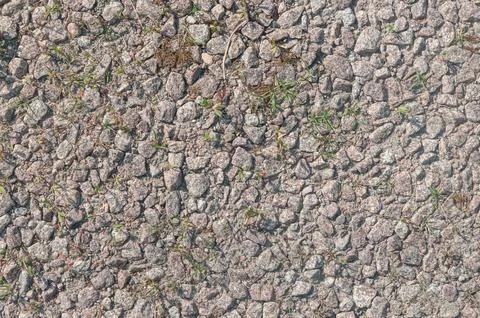 Rough stone texture with small green plants growing in cracks Stock Photos
