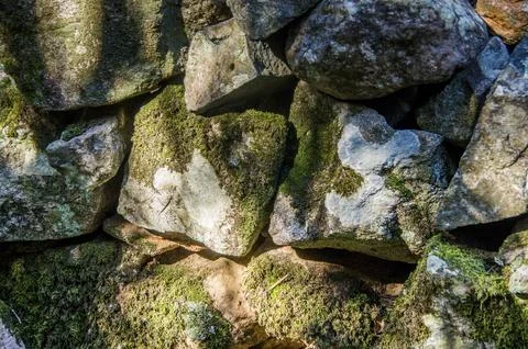 Rough stone wall texture with vibrant green moss, naturally illuminated, Stock Photos