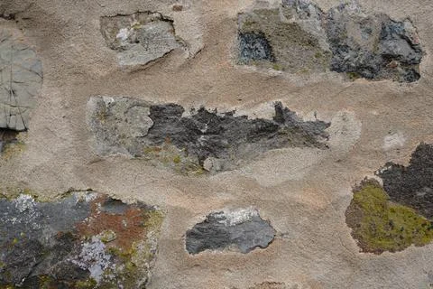 Rough stone wall texture with visible mortar and patches of lichen growth 스톡 사진