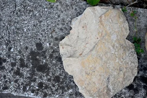 Rough stone on weathered pavement Stock Photos