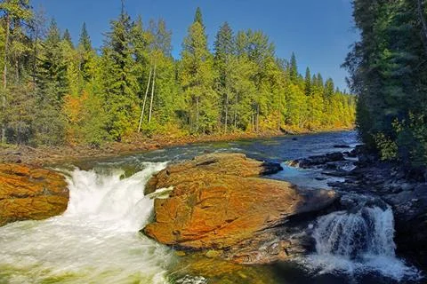 Rough stream. The mountain river with the transparent water, current among... Foto stock