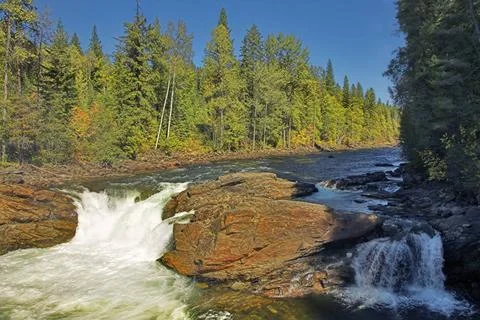Rough stream. The mountain river with the transparent water, current among... Foto stock