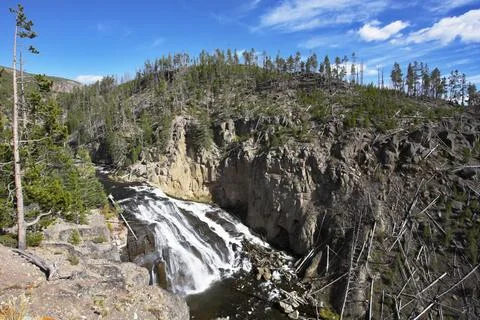 Rough stream Rough stream of mineral water of river Gibbons in Yellowstone... Foto stock