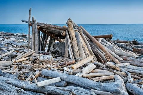 Rough Structure On South Beach Stock Photos