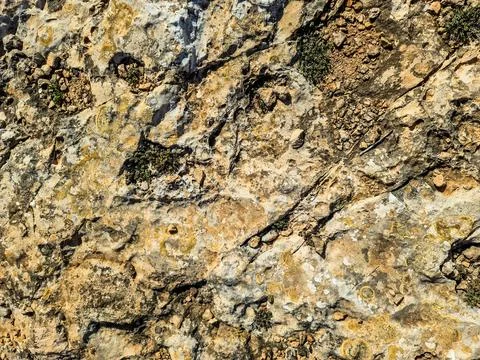 Rough surface of natural stone forming abstract pattern with moss growing on  스톡 사진